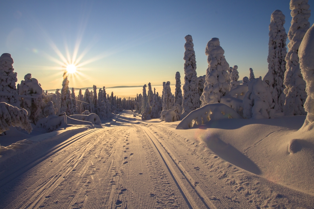 Eine verschneite Landschaft mit hohen, schneebedeckten Bäumen und einer tiefstehenden Sonne am Horizont. In der Mitte verlaufen Skiloipen, ideal für Skifahren-Enthusiasten, die Stellplätze in der Nähe unter einem klaren blauen Himmel suchen.